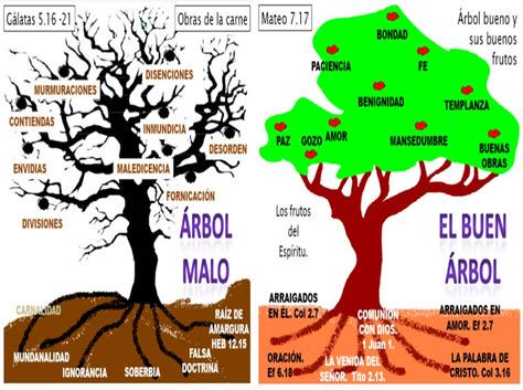 Ilustración: árbol con frutos buenos y frutos malos para discernimiento