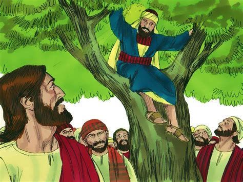 Ilustración de Zaqueo en el sicómoro viendo a Jesús