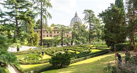 tortuga en jardines del Vaticano