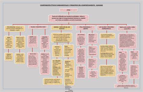 Mapa conceptual: Componentes del programa académico y pastoral jesuita