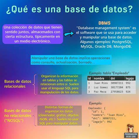 Carátula del DVD histórico y base de datos de antiguos alumnos de Jesuitas