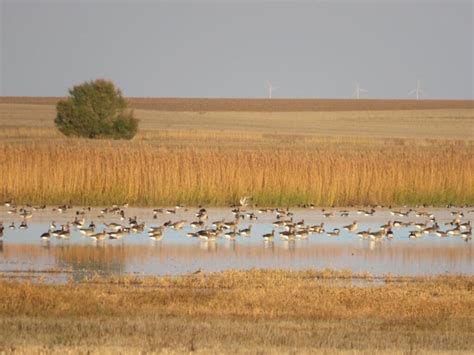 Humedales del Carrascal con senderos ciclables y fauna local