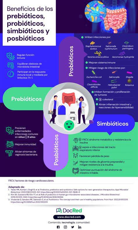 Esquema: rutas de investigación en probióticos y obesidad