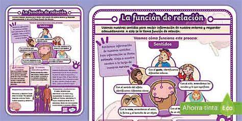 Infografía sobre la relación entre oración, acción social y cambio político en músicas de protesta