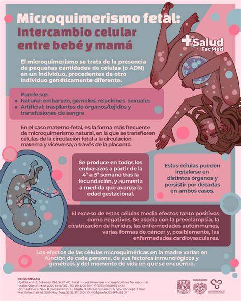 diagrama: intercambio celular madre-hijo (microquimerismo)