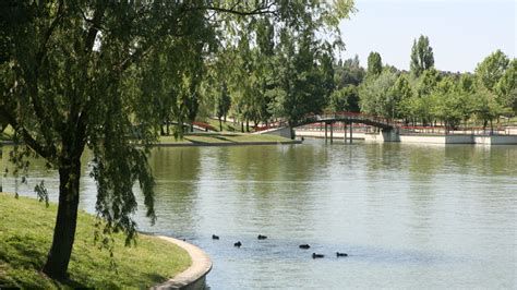 Fotografía de Avenida del Parque en Tres Cantos