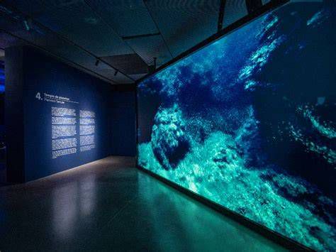 instalación inmersiva exhibición doce pantallas mar y ballena