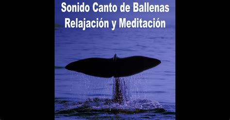 sala meditación sonidos de ballenas y delfines