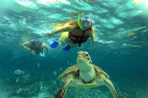 Playa de Malendure con snorkel y tortugas
