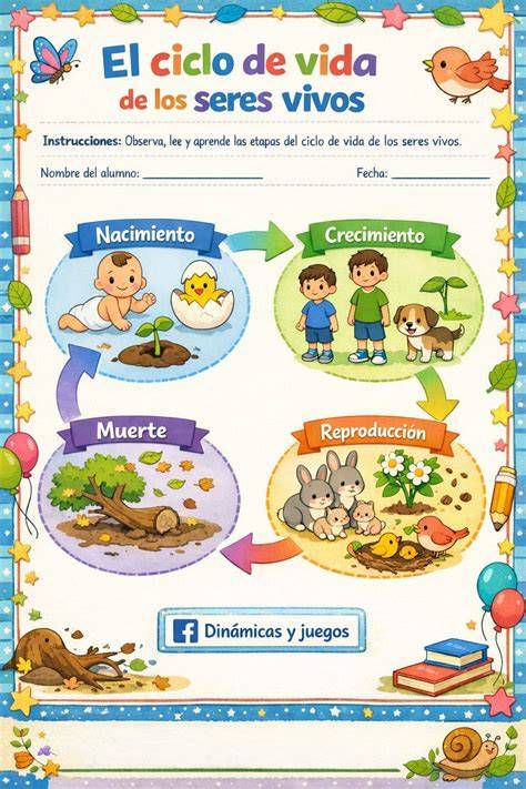 Infografía: ciclo diario de entrega de objetos al Biólogo