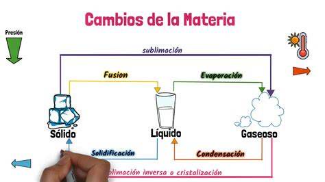 Esquema de los distintos estados de vida y sus formas de castidad