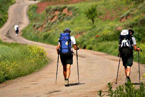 Peregrinos caminando por el Camino de Santiago