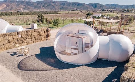domo geodésico con vista a viñedos en Valle de Guadalupe