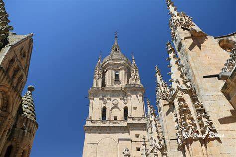 Torre y detaille de la Catedral Nueva de Salamanca