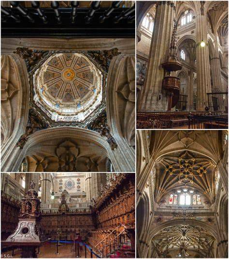 Interior y bajocubierta de la Catedral de Salamanca, recorrido +Ieronimus