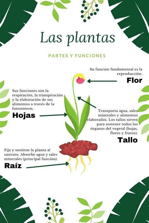 Infografía de la planta y secciones interiores de la Ermita de Jesús Crucificado
