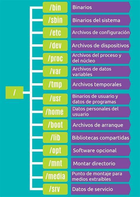 Estructura de usuarios y directorios home en un servidor Linux
