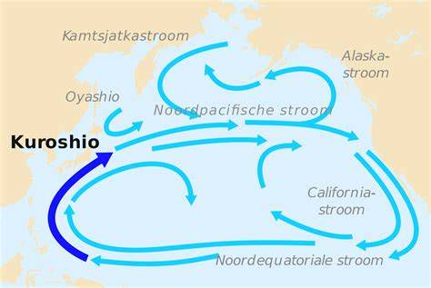 Esquema de la corriente Kuroshio y la ruta del tornaviaje