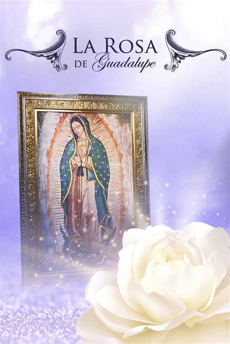 cartel promocional La Rosa de Guadalupe