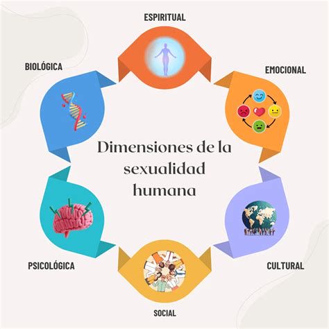 Esquema de las dimensiones de la sexualidad
