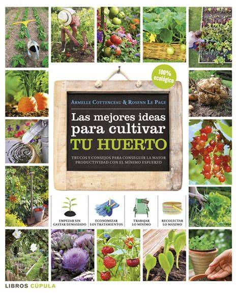 Esquema con consejos para cultivar la castidad