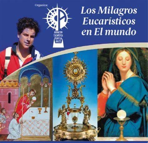 Infografía sobre los milagros eucarísticos registrados por Carlo Acutis a través de su sitio web