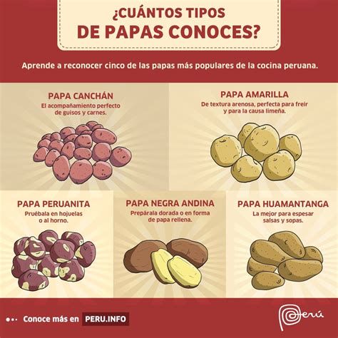 Infografía sobre tipos de papa y sus mejores usos culinarios