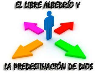 Ilustración sobre la interacción entre predestinación y libre albedrío