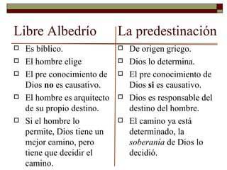 Tabla comparativa de conceptos clave: Predestinación vs. Libre albedrío según la Biblia