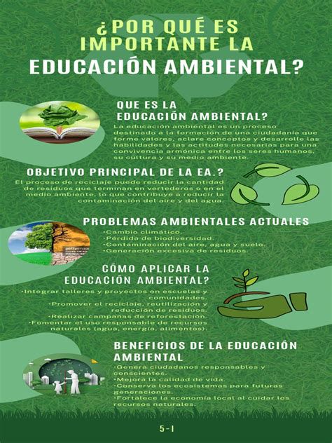 Infografía sobre educación ambiental para jóvenes