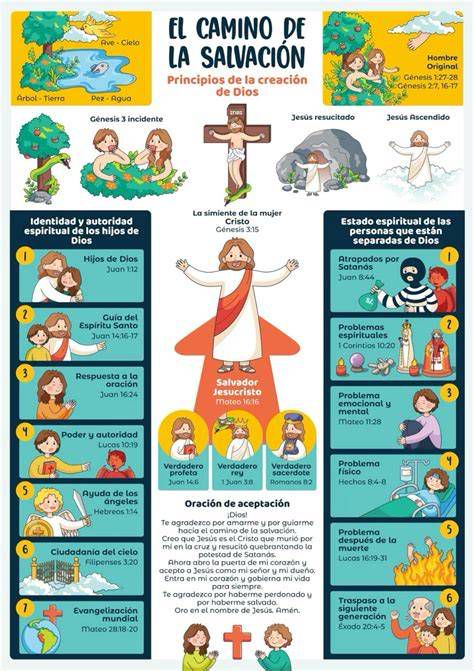 Infografía del 