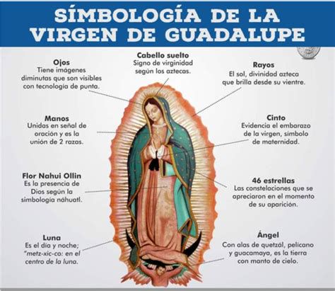 infografía de los símbolos de la Virgen de Guadalupe: manto verde, vestido rosa, flor de cuatro pétalos, prendedor solar, ángel