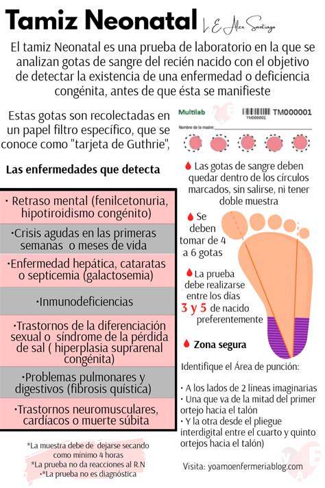 Infografía de proceso de tamiz neonatal y pruebas ADN