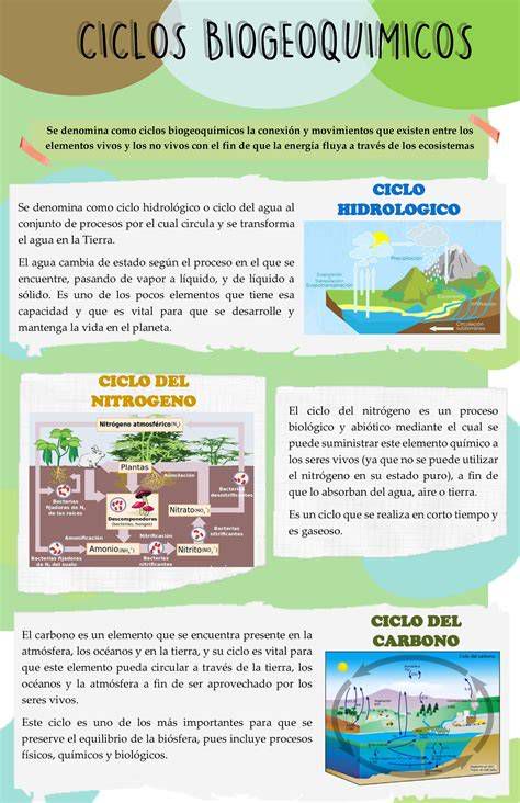 infografía ciclos naturales y personales