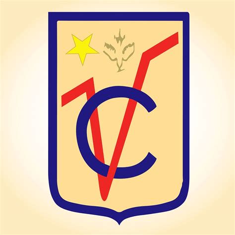 Organigrama del Colegio Virgen del Carmen