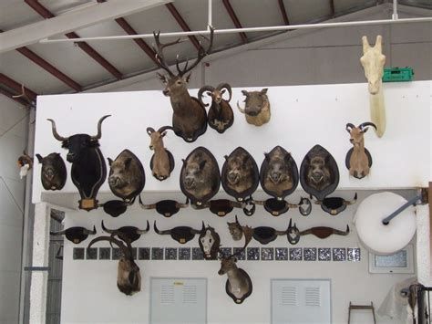 Taller de taxidermia ficticio y galería de horrores