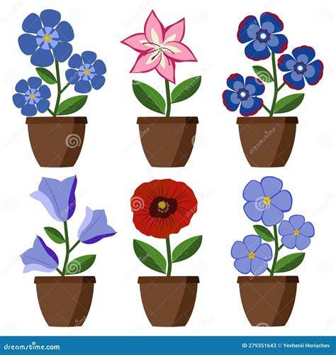 Ilustración con cuidados para flores en macetas