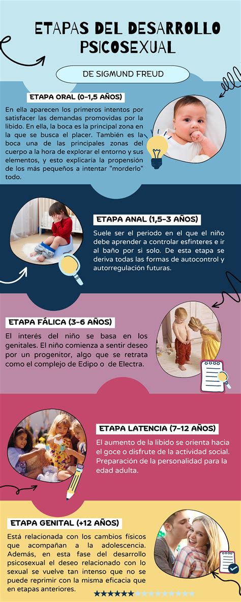 Infografía sobre las etapas educativas y orientación pedagógica del Colegio Inmaculada Concepción
