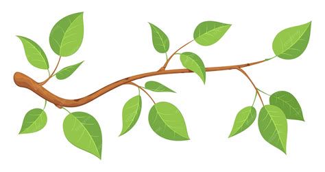 Ilustración de una hoja desprendiéndose de una rama (metáfora de soltar y renacer)