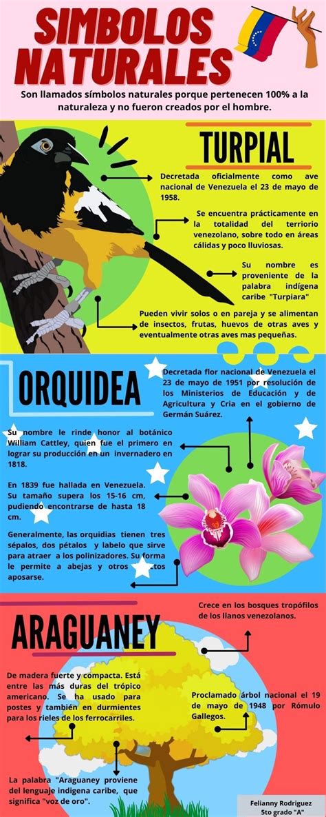 Infografía sobre símbolos de sed espiritual: ave, pez y ciervo