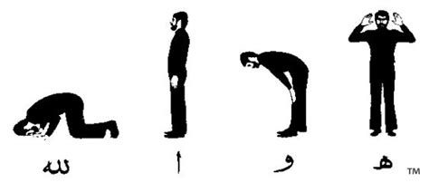 secuencia de posturas del salat: qiyam, ruku, sujud, yalisa