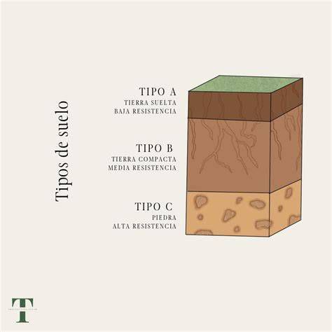 Ilustración que muestra los cuatro tipos de terreno y la recepción de la semilla