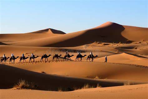 caravana nocturna en el desierto