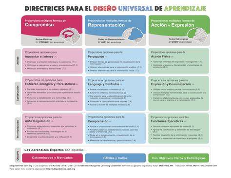 infografía sobre Diseño Universal de Aprendizaje y estrategias para Educación Especial