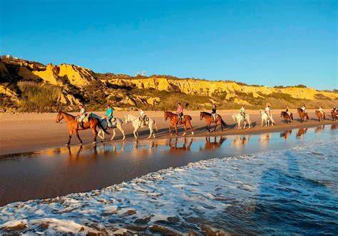 Actividades en la playa (buceo, windsurf, paseos a caballo)