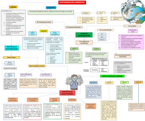 Mapa conceptual: de la llamada personal a la inserción en la comunidad diocesana