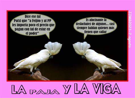 Ilustración: la paja y la viga - metáfora del juicio