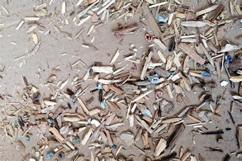 Fotografía microscópica de astillas de madera y fragmentos óseos adheridos a los clavos