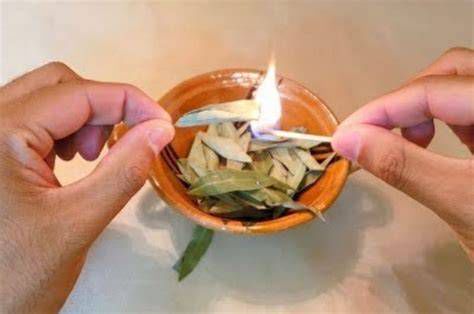 cuenco con hojas de laurel encendidas en una casa