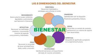 esquema dimensiones bienestar espiritual adolescencia